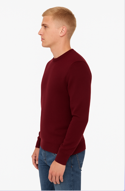 MAGLIONE GIROCOLLO in CASHMERE | REGULAR FIT